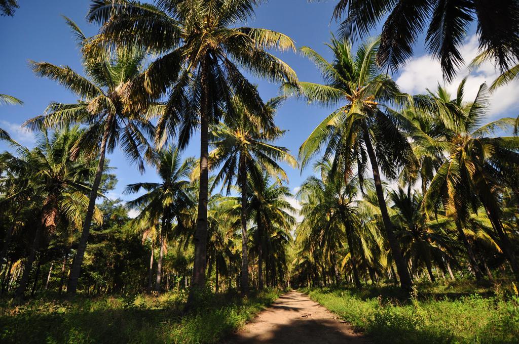 Ana Warung & Bungalows Гили-Мено Экстерьер фото